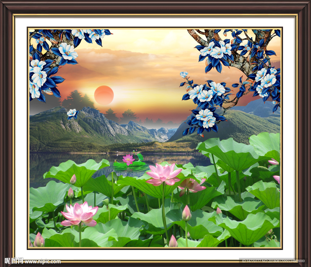 荷花风景