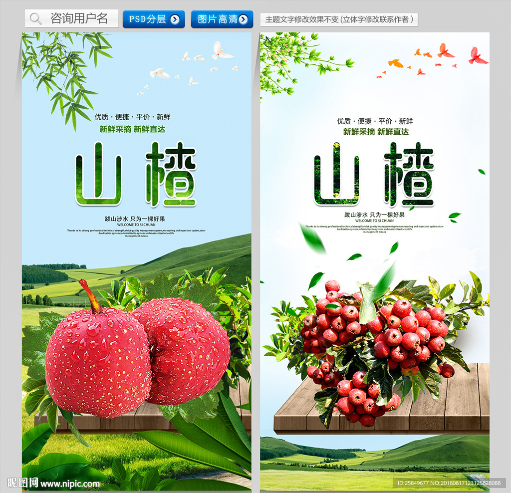 山楂