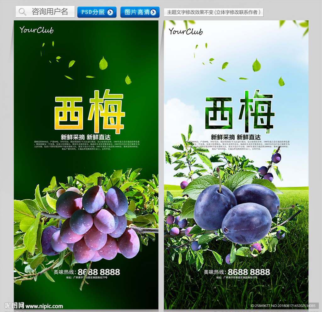 西梅