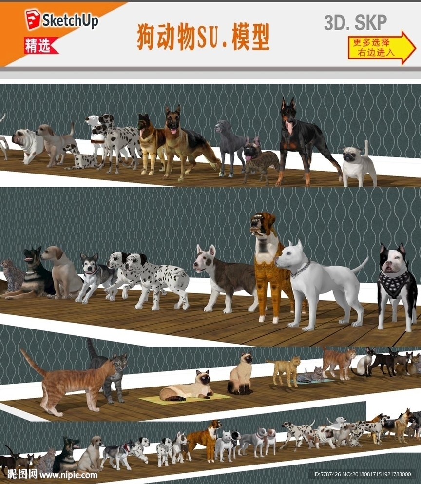 宠物狗模型