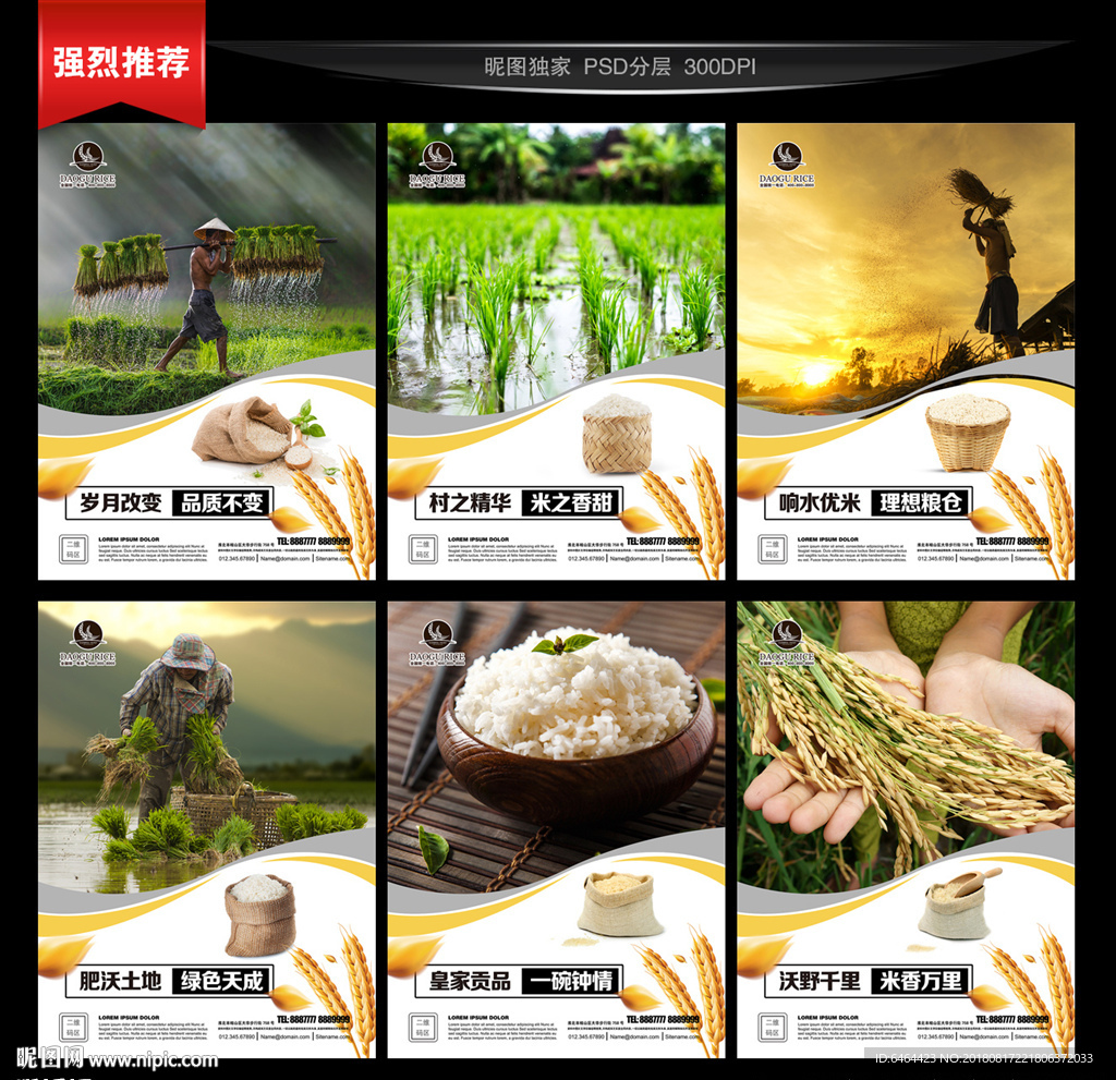 大米