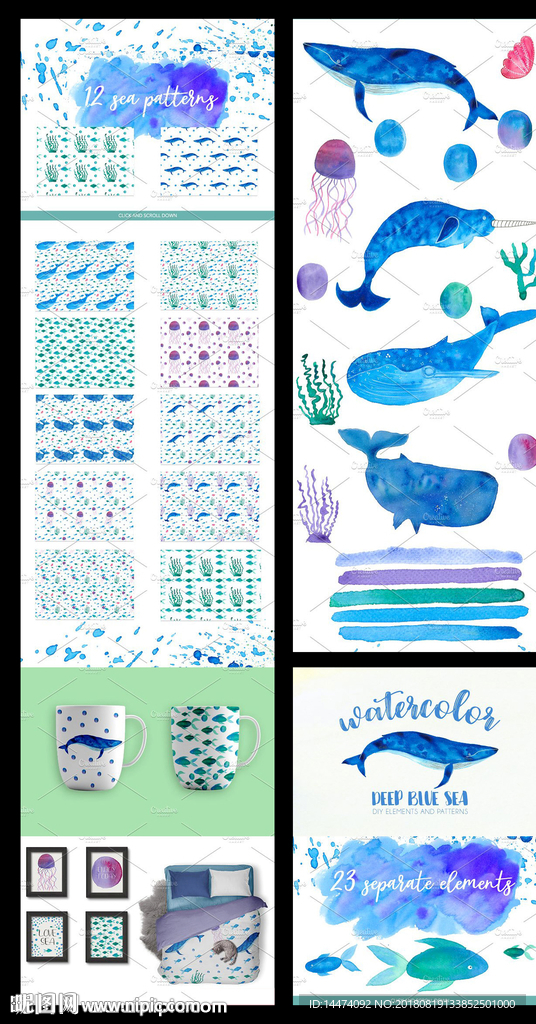 水彩画海洋生物装饰