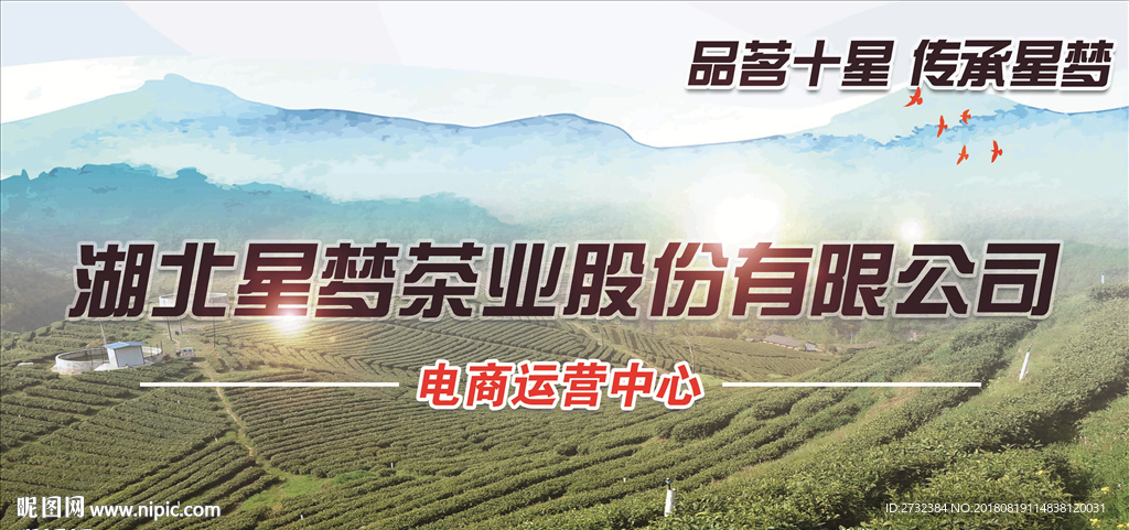 十星红茶叶