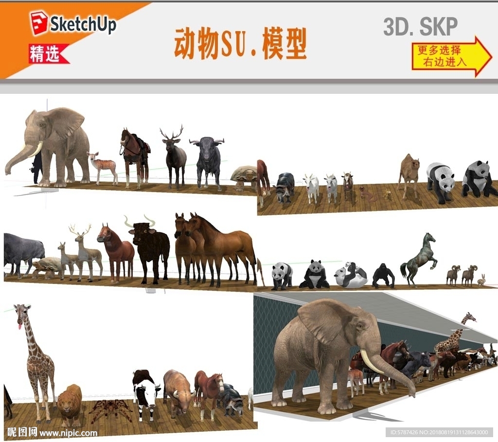 3D动物模型
