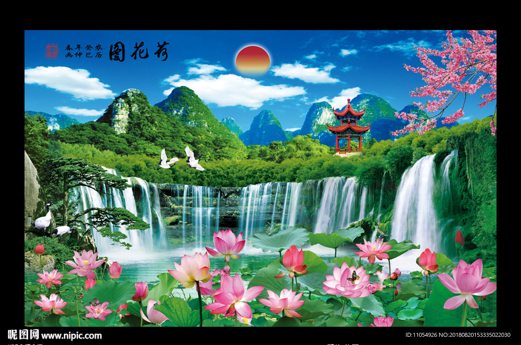 荷花