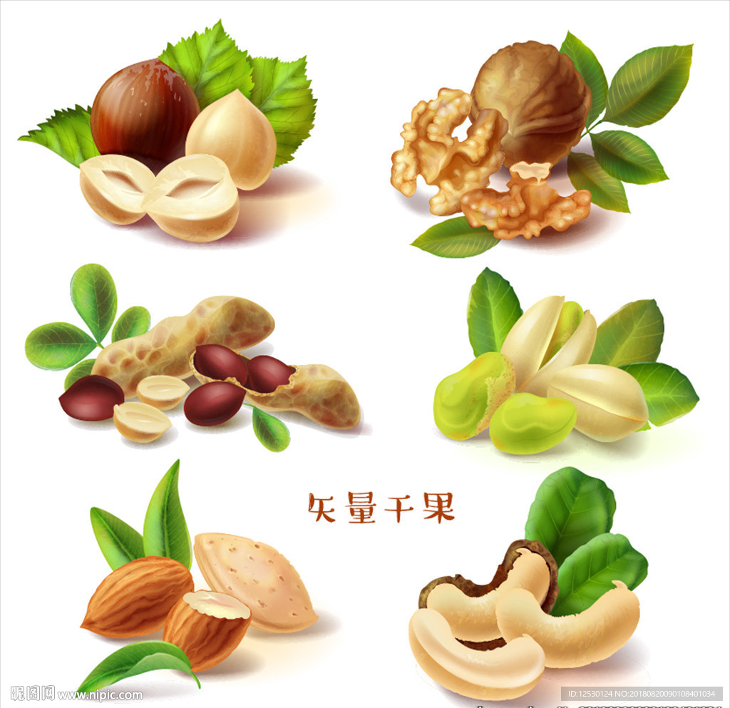 矢量干果花生开心果腰果杏仁榛子