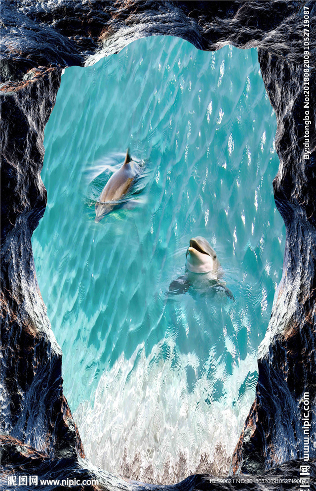 3D海豚地板画