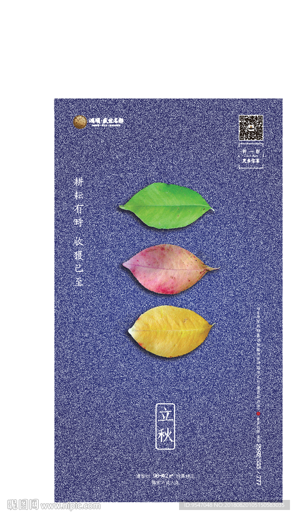 立秋 蓝色 叶子 肌理 地产