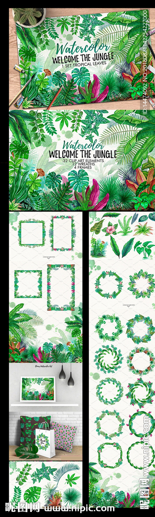 热带丛林植物花环花框