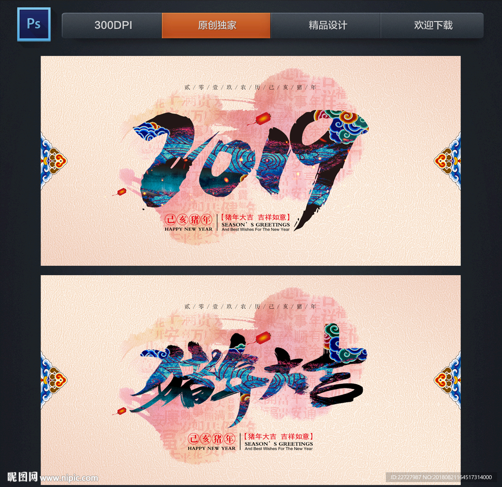 2019 猪年
