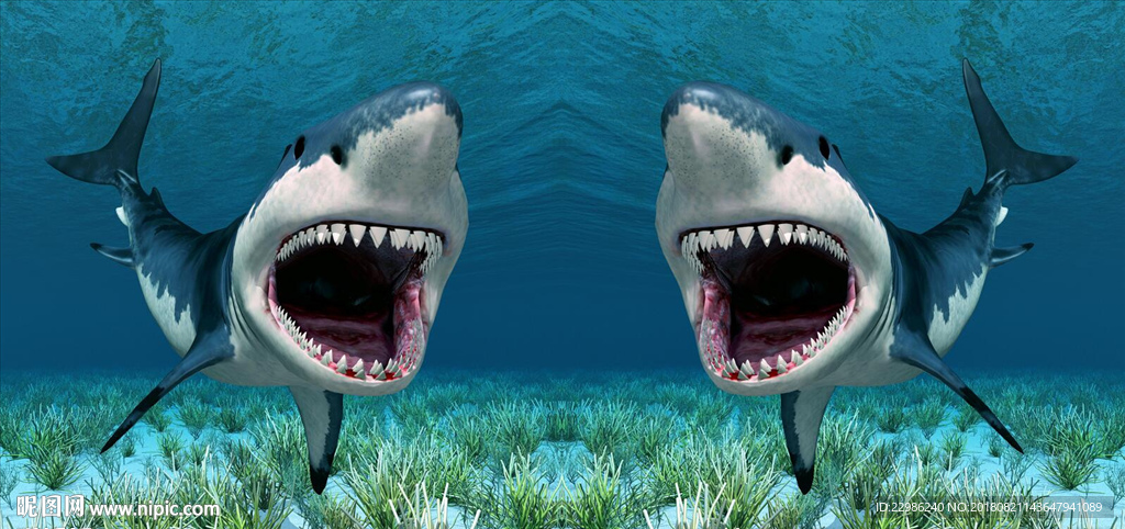 巨幅高清凶猛鲨鱼3D立体装饰画