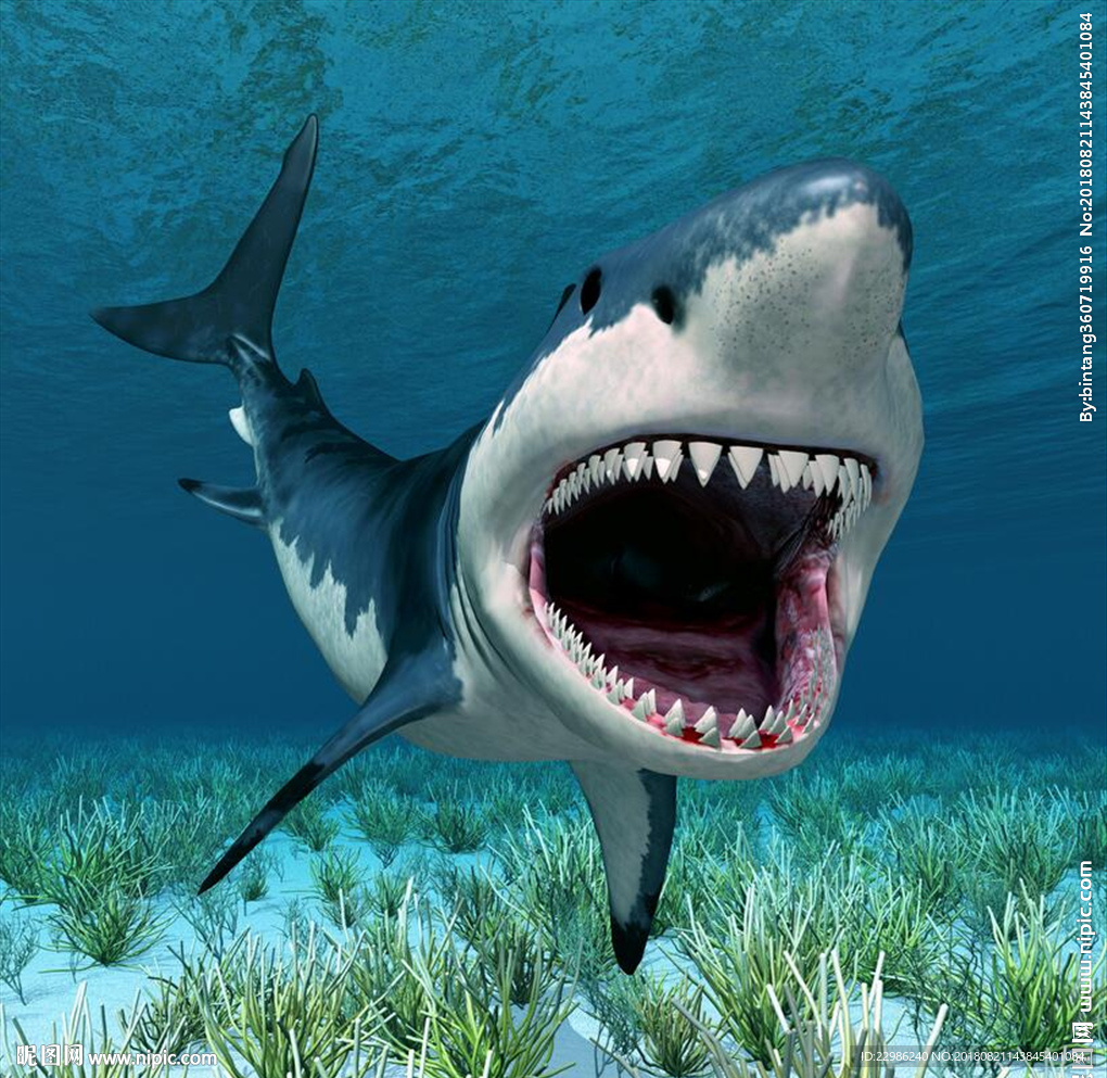 大鲨鱼3D立体玄关背景墙装饰画