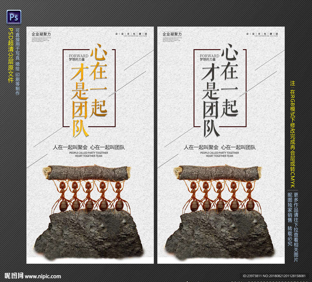 团队