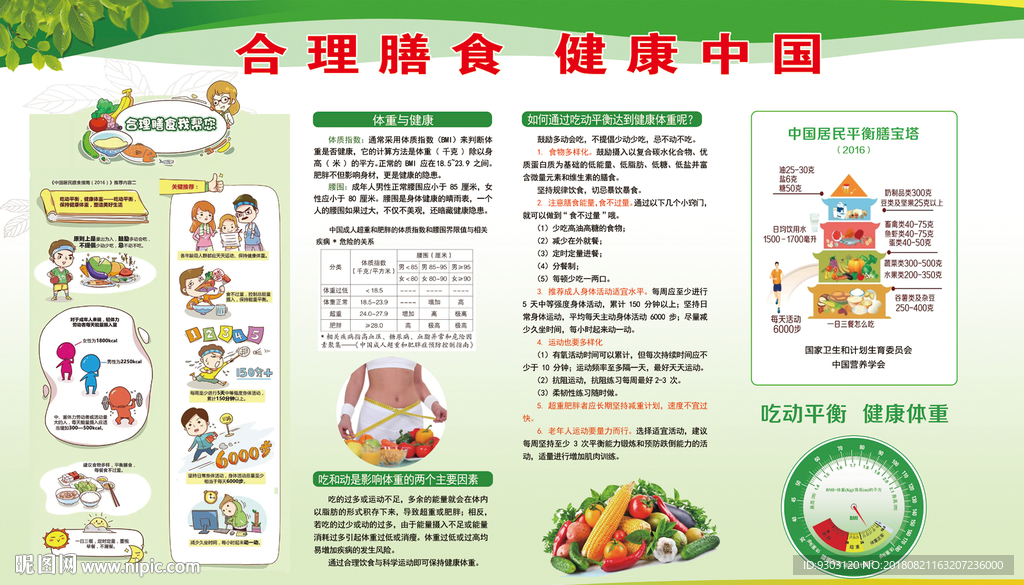 平衡膳食宣传栏