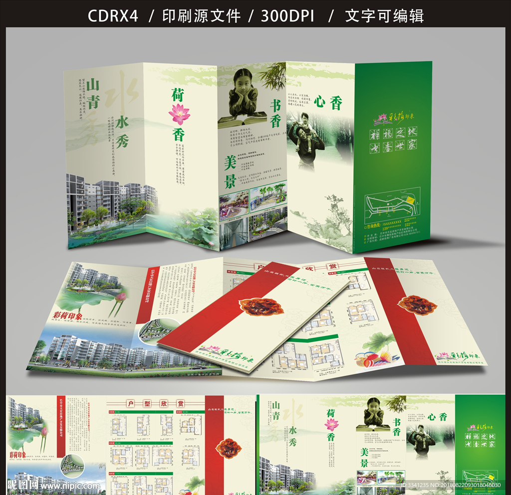 彩荷印象折页