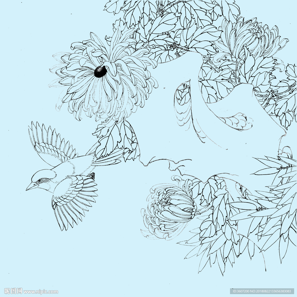 花鸟线描 花鸟白描 花鸟素描