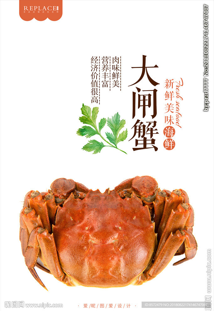 正宗大闸蟹