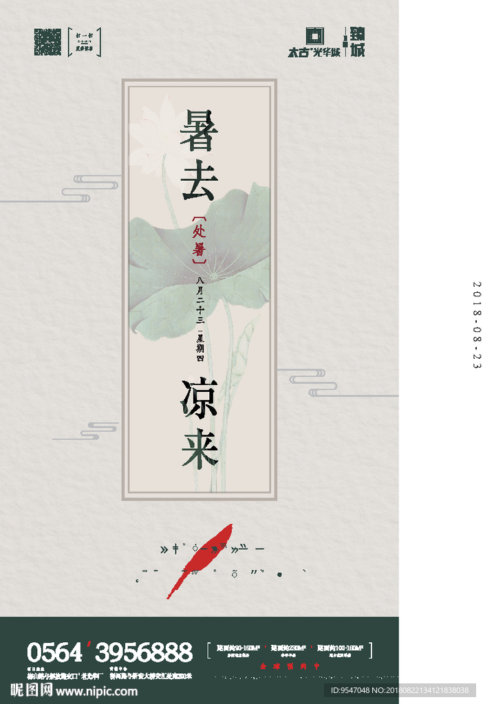 处暑 荷花 线纹 羽毛 绿色