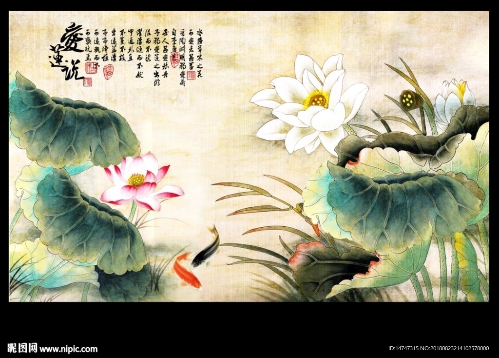 国画荷花