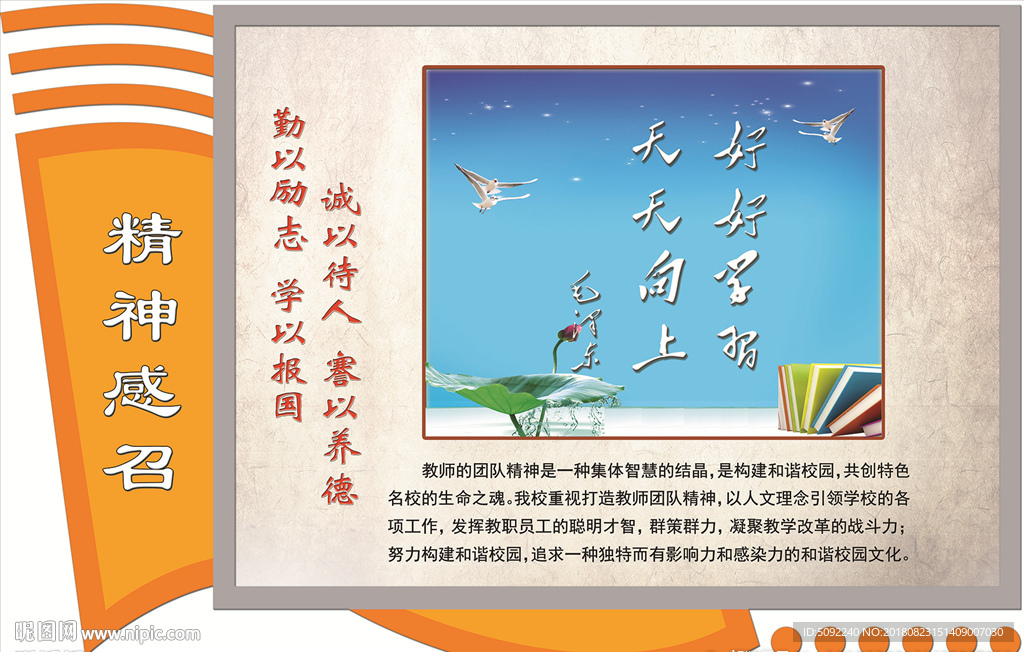 学校走廊文化展板