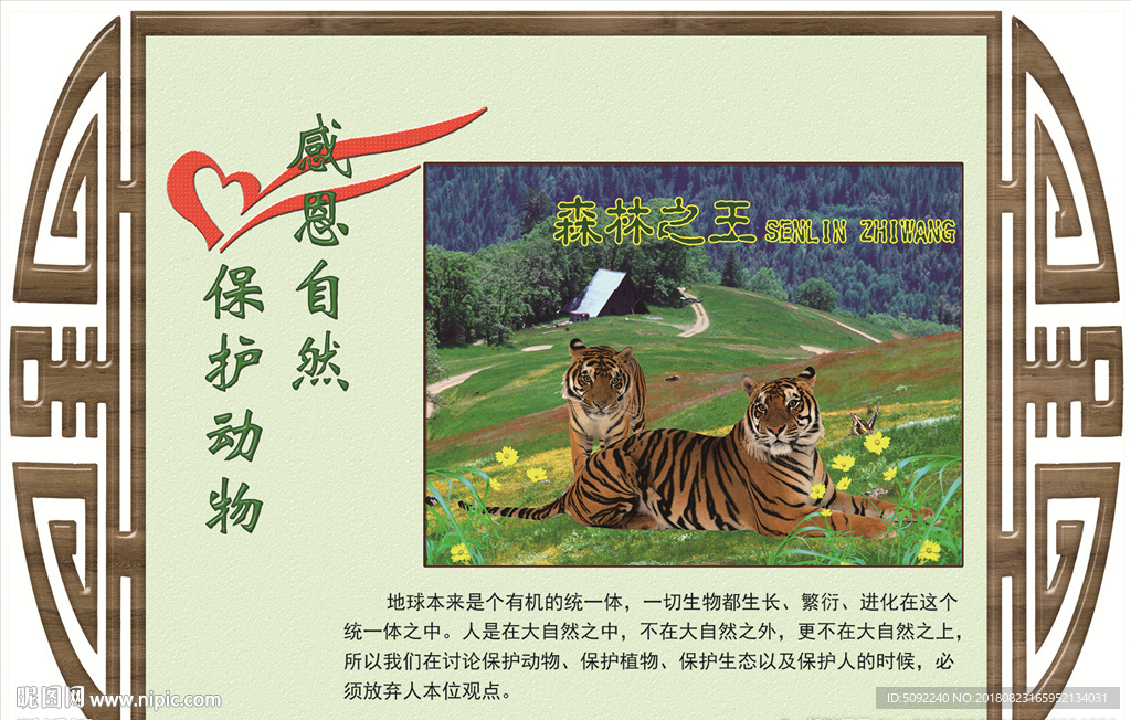 学校走廊文化展板