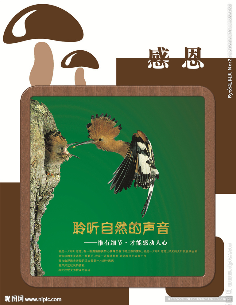 学校走廊文化展板