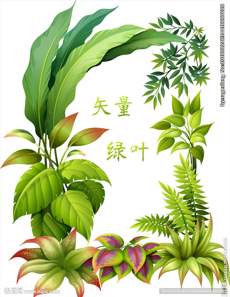 矢量绿叶树叶绿草植物绿色环保