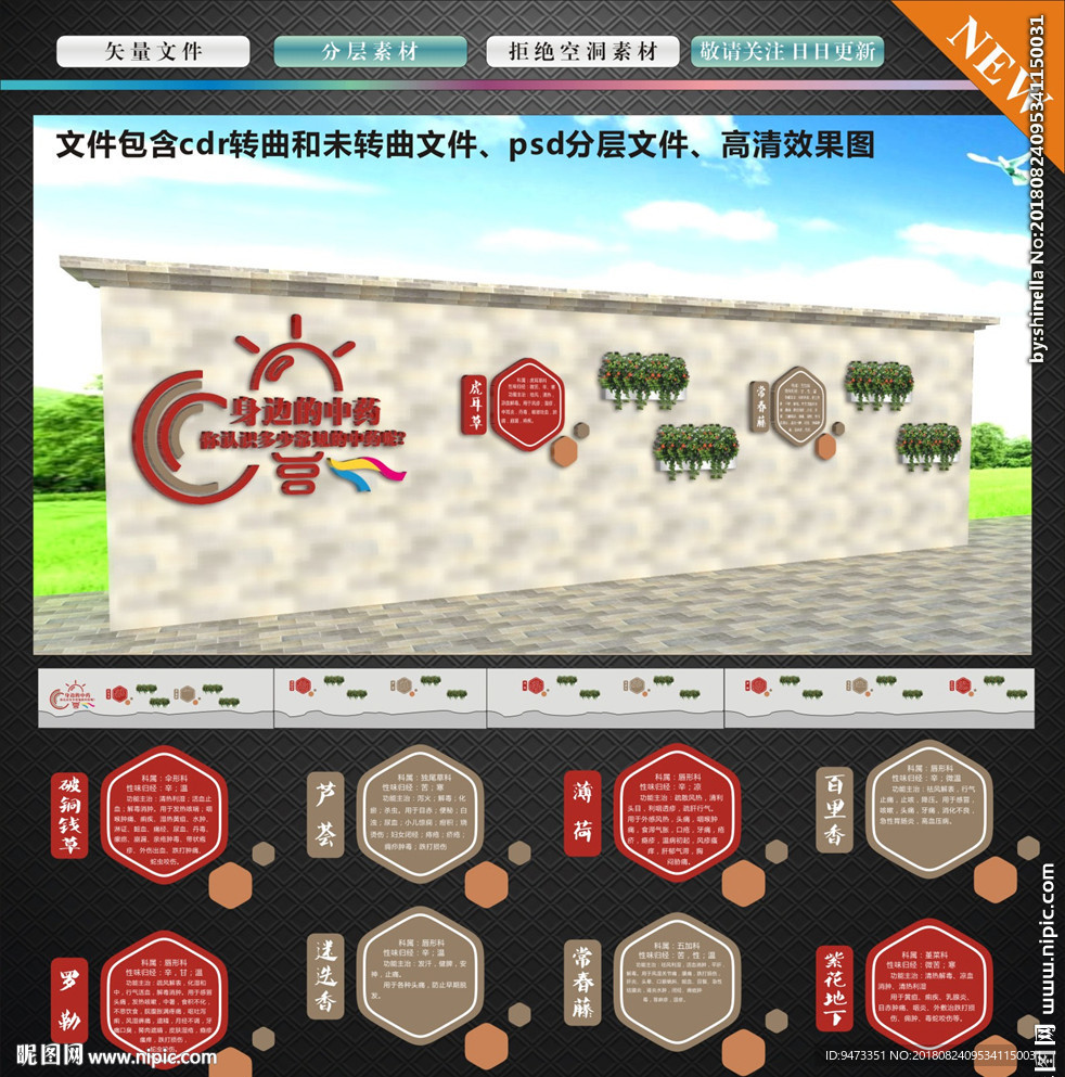 中草药 中医文化