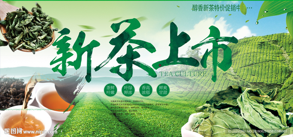 新茶上市海