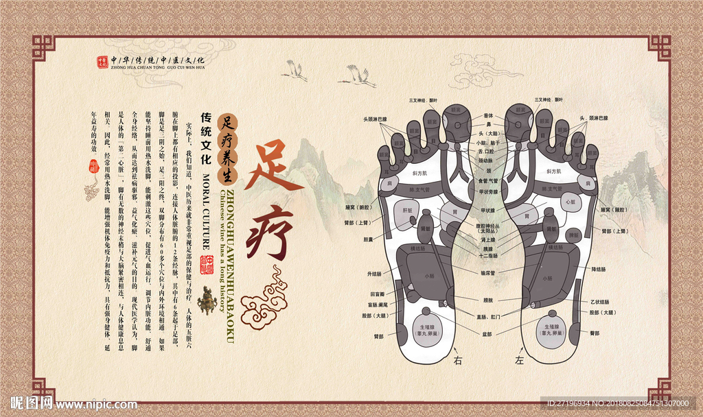 足疗养生经络图