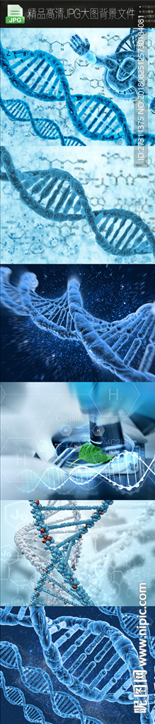 6款生物医疗DNA图片