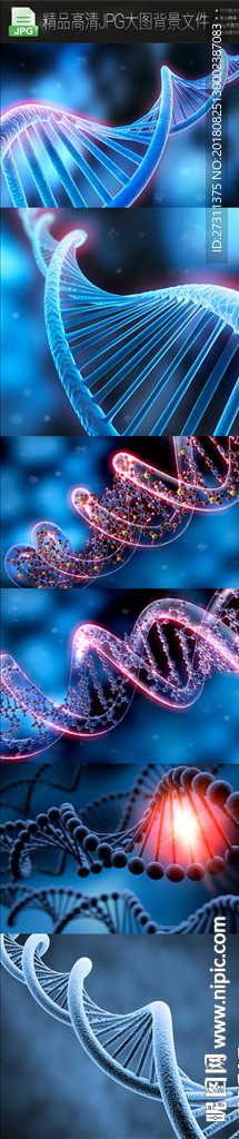 6款生物医疗DNA图片