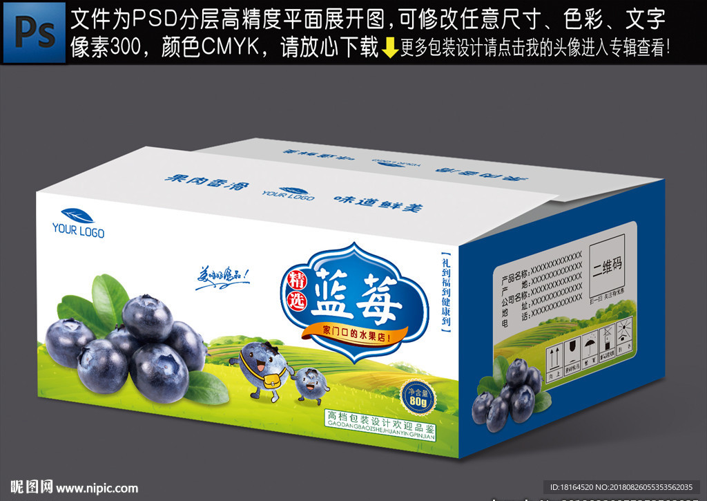 蓝莓包装