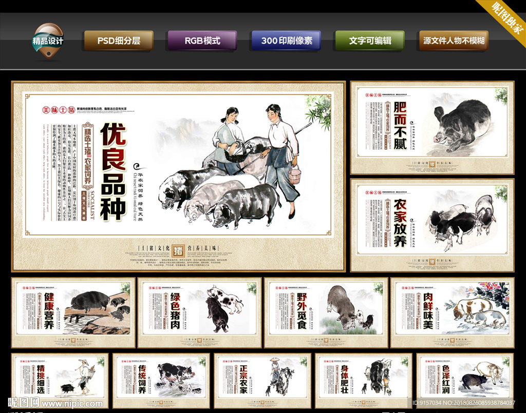 农家土猪