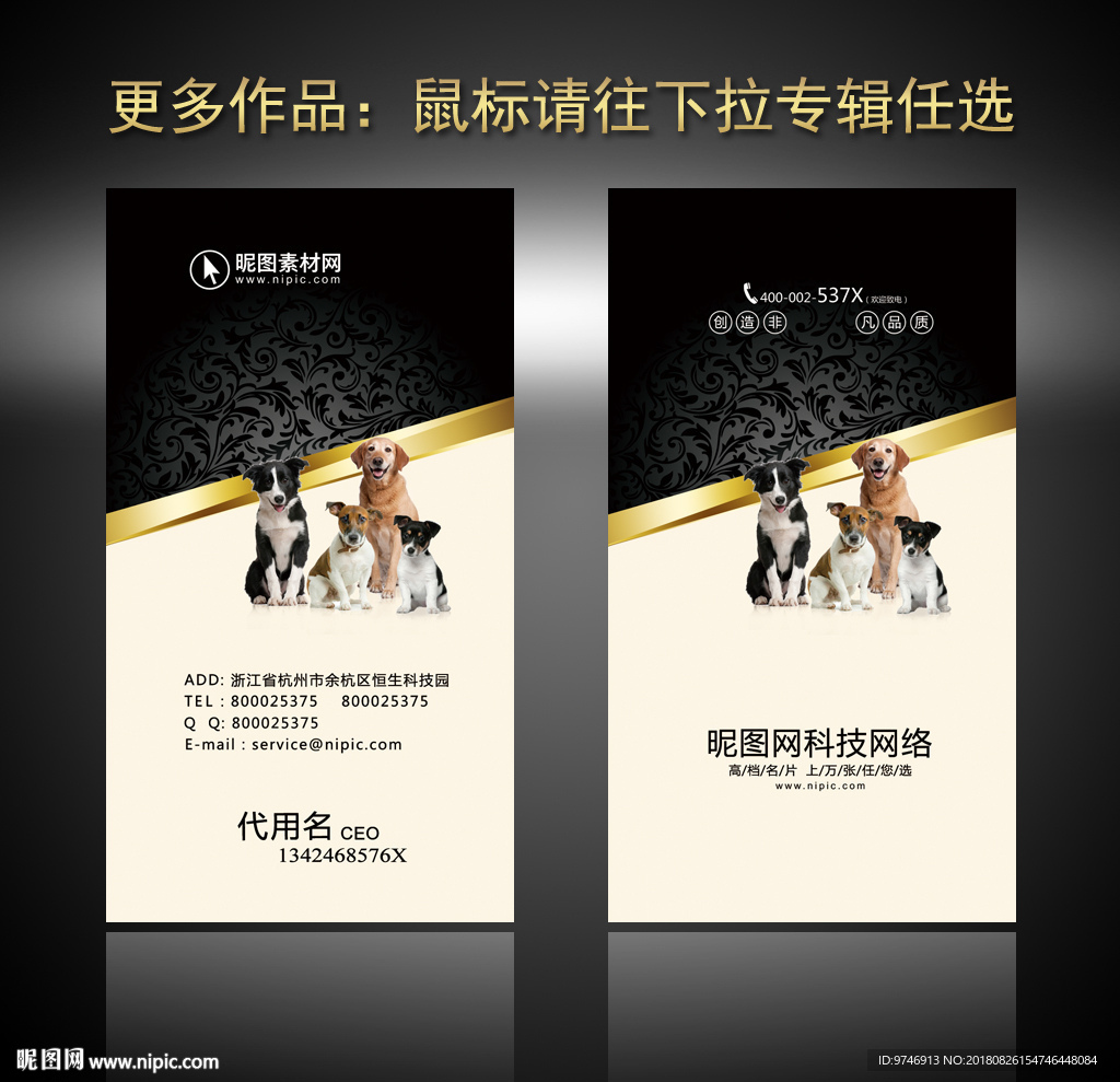 宠物名片