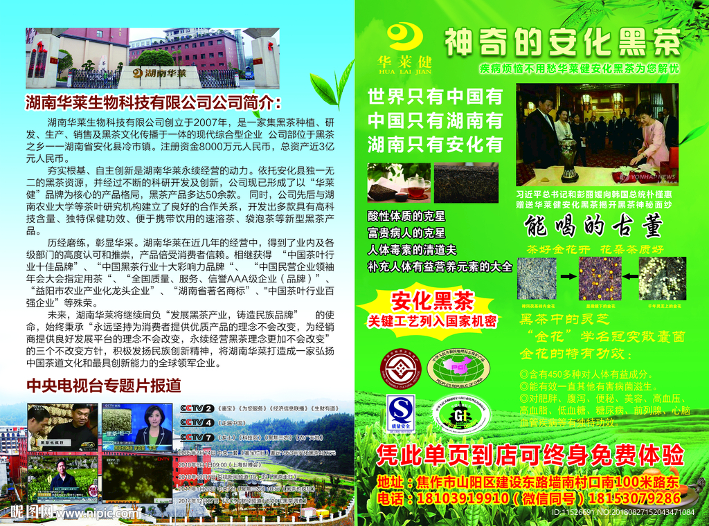 华莱健安化黑茶宣传单