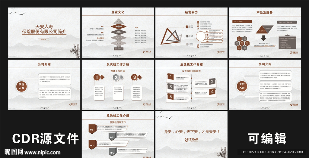 天安人寿简介