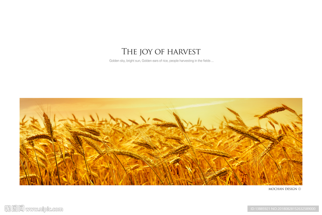 金色麦穗装饰画