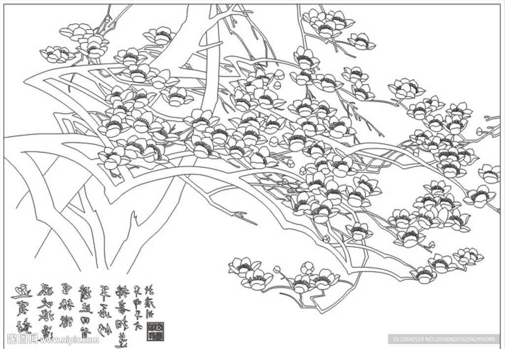 玉兰
