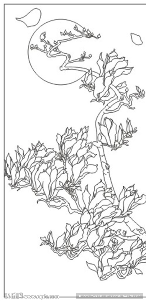 玉兰花