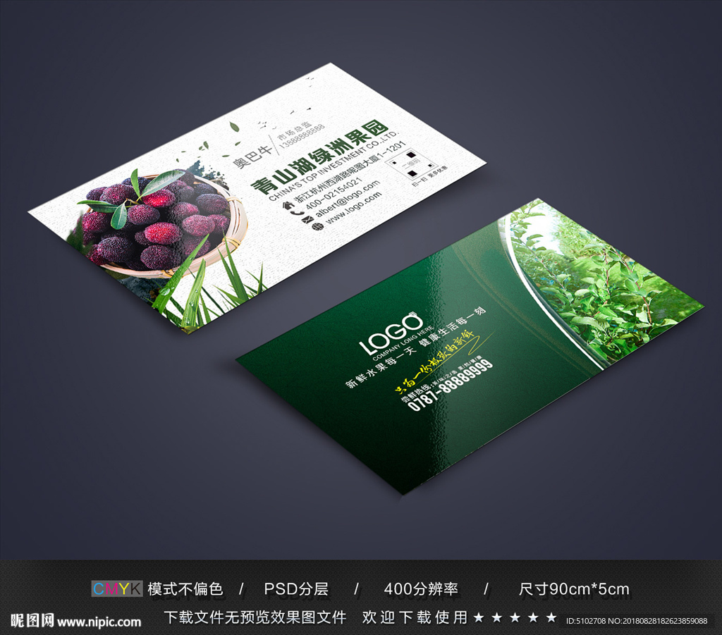 杨梅名片