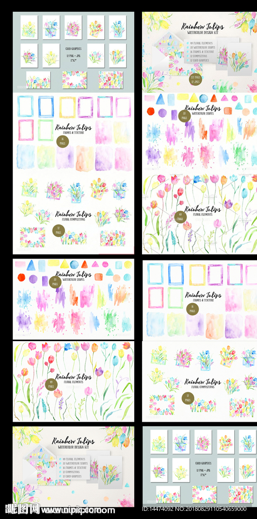 免扣水彩郁金香插画