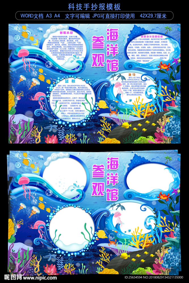 参观海洋馆手抄报模板
