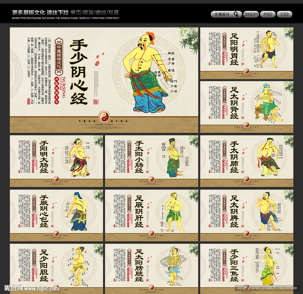 中医经络