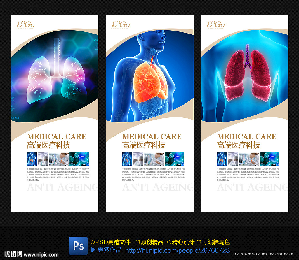 肺部结构