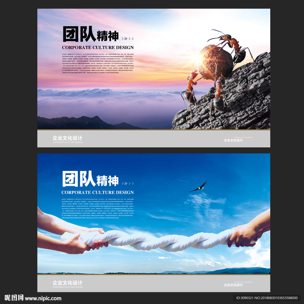 团队