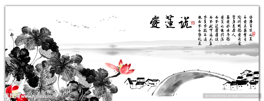 荷花