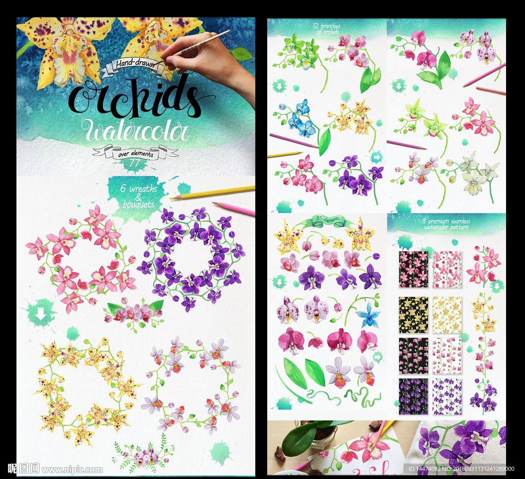 手绘水彩兰花插画