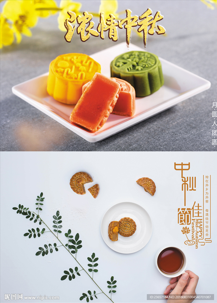 中秋节 月饼 中秋节海报
