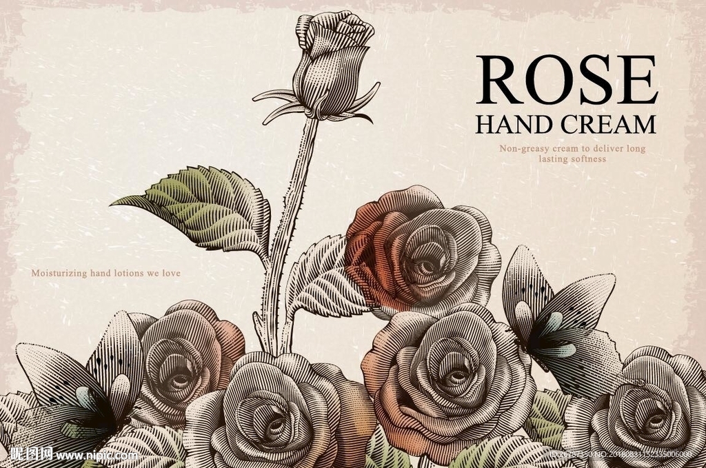 欧式古典版画风格玫瑰